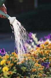 save garden water