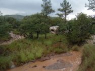 dscf0017-5594714