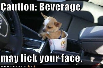 funny-dog-pictures-dog-beverage-may-lick-your-face-9121273