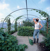 polytunnel-woman