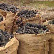 biochar