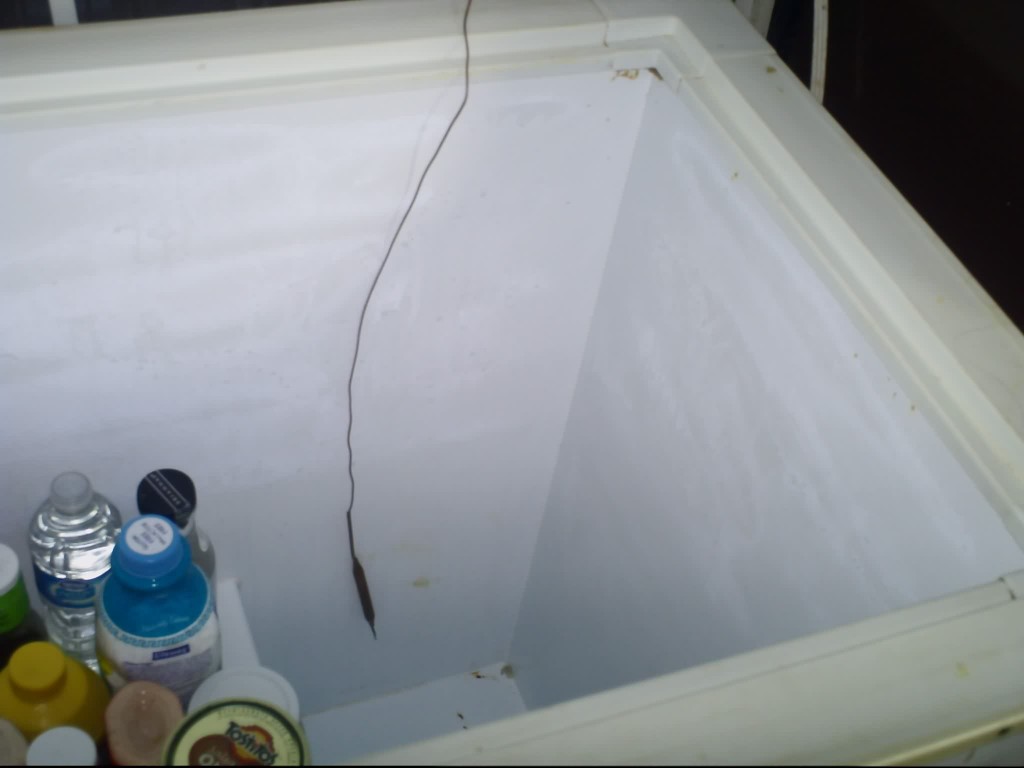 Freezer to fridge conversion Living Off the Grid Free Yourself