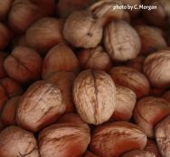 img_0015_zps19eab909-4136853