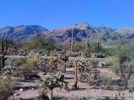 Water harvesting in Tucson Desert, AZ