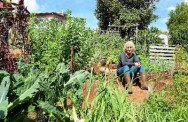 Elaine seated in her permaculture garden