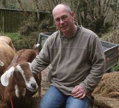 off-grid in North Devon - animals make the money while you sleep