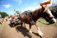 Horse drawn life off the grid