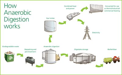Diagram shows the process of Anaerobic Digestion
