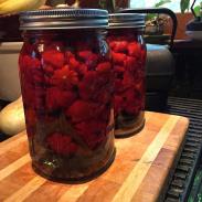 Canning, food preservation, jars, canning, water canning, pressure canning, off-grid, storage 