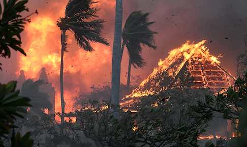 Maui fires driven by wind but started by power lines